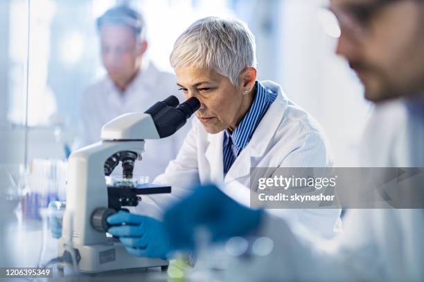 rijpe chemicus die aan een microscoop onder haar medewerkers in laboratorium werkt. - ergens doorheen kijken stockfoto's en -beelden