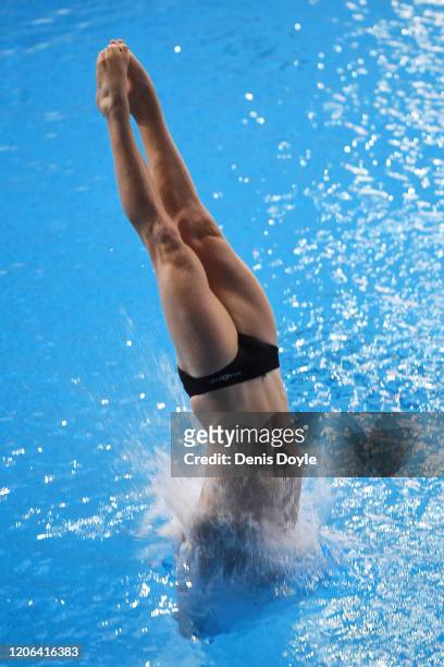 Liam Stone of New Zealand dives during the 3m Springboard Men preliminary event during the XXVI FINA Diving Grand Prix on February 15, 2020 in...