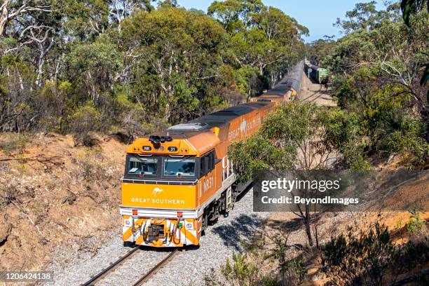 the great southern excursion train travels through belair national park - queensland rail stock pictures, royalty-free photos & images