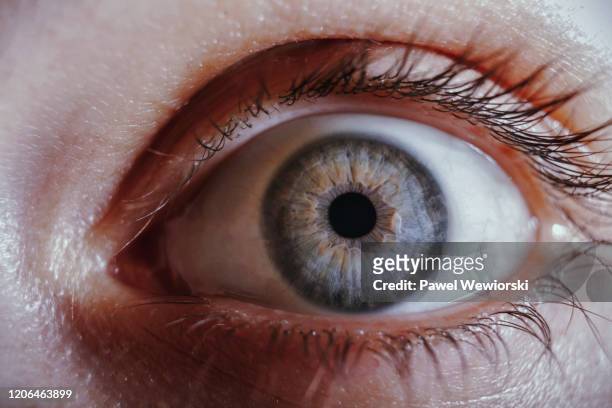 woman's eye - iride foto e immagini stock