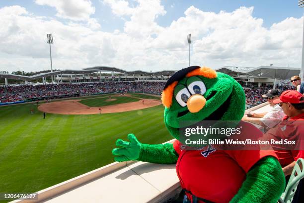 Boston Red Sox mascot Wally the Green Monster looks on during a Grapefruit League game between the Boston Red Sox and the St. Louis Cardinals on...