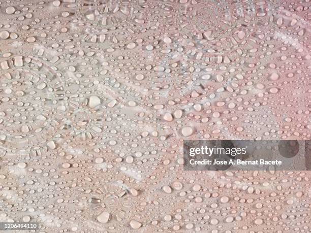 rainwater drops on a soft pink background. - rainy season stock-fotos und bilder