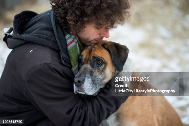dog and his owner - emotional support stock pictures, royalty-free photos & images