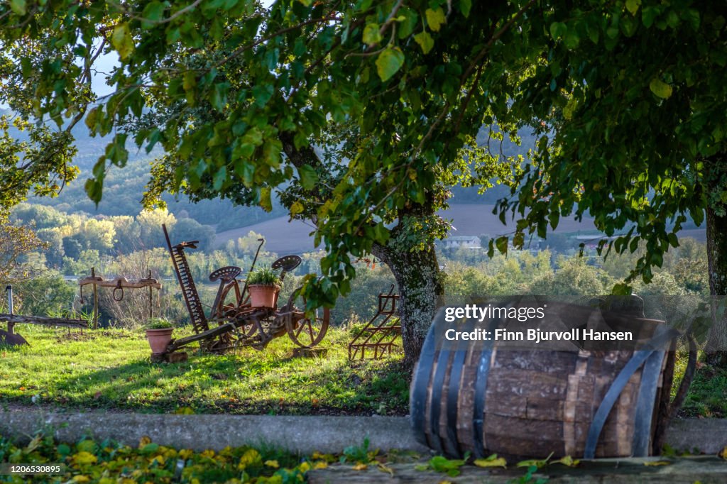 Old wine barrel in a garden in Pomonte