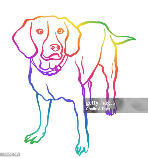 beagle eyes - beagle stock illustrations