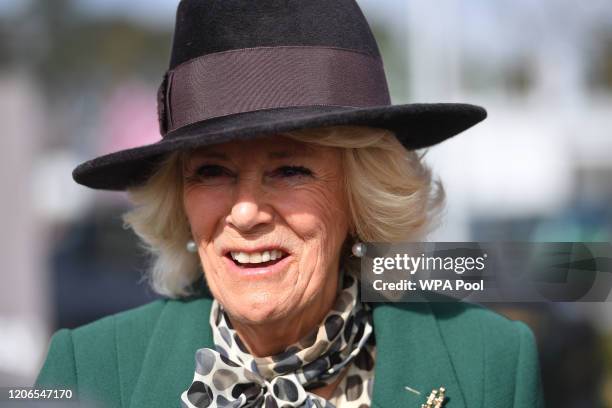 Camilla, The Duchess of Cornwall attends Ladies Day at the Cheltenham Festival at Cheltenham Racecourse on March 11, 2020 in Cheltenham, England