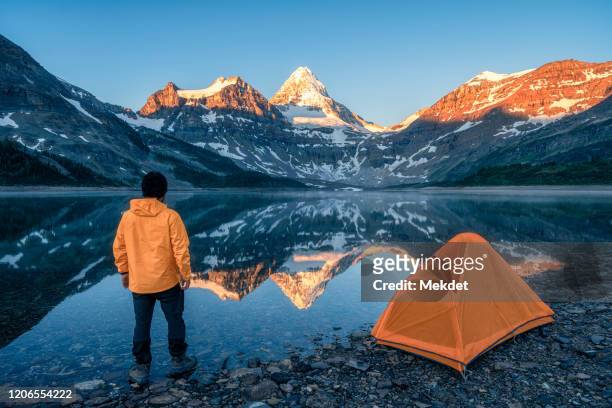 man looking at mt. assiniboine (the queen of canadian rockies) on magog lake at the first sunlight, british columbia, canada - mont assiniboine photos et images de collection