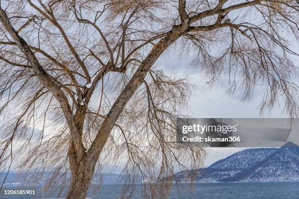 beautiful landscape view of lake toya in winter times near hokkaido japan 2020 - vulkan yotei stock-fotos und bilder