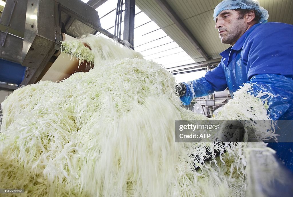 A worker handles sauerkraut in a  factor