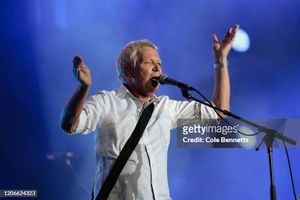 Iva Davies of Icehouse performs during Fire Fight Australia at ANZ Stadium on February 16, 2020 in Sydney, Australia.