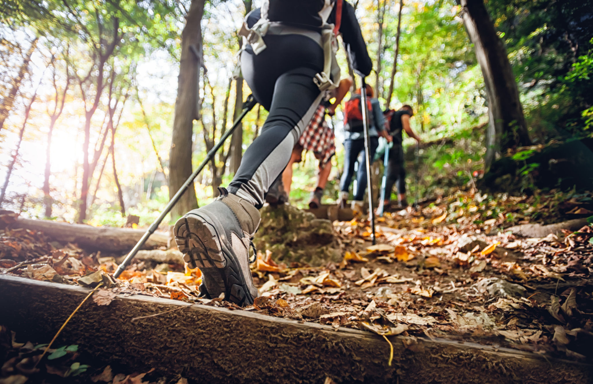 Hiker woman with trekking sticks climbs steep on mountain trail, focus on boot Hiker woman with trekking sticks climbs steep on mountain trail, focus on boot