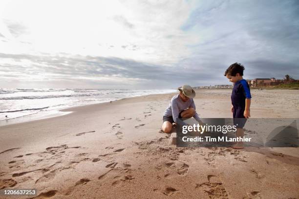 grandfather and male child playing with sand toys on beach - cocoa beach stock-fotos und bilder