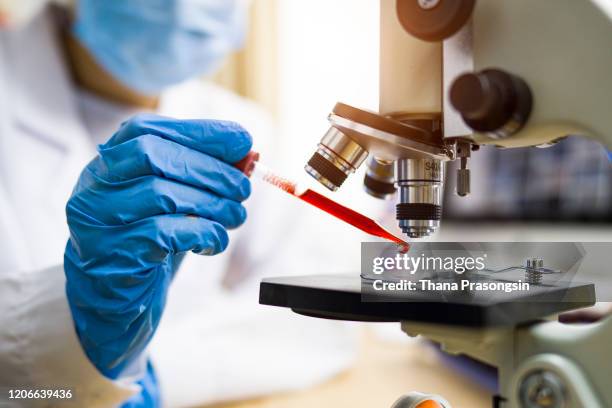 female scientist in lab - ensaio imagens e fotografias de stock
