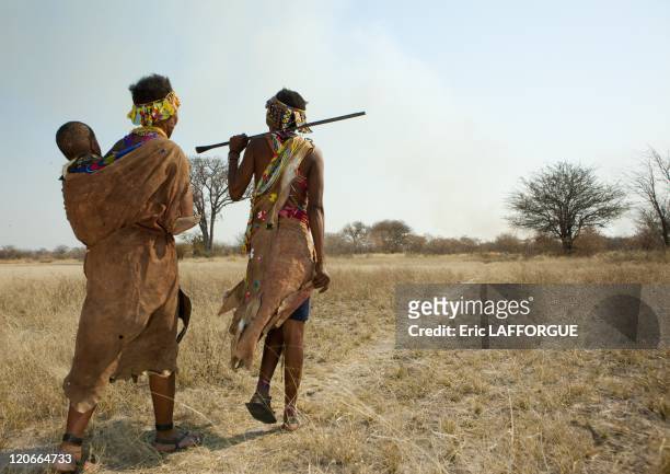San Women Walking In The Bush With A Baby in Namibia on August 22, 2010 - San are an ethnic group of South West Africa. They live in the Kalahari...