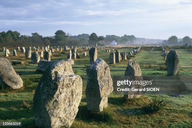 Brittany: Carnac, France - The stone rows of Menec.