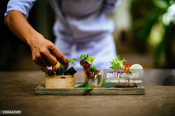 close up of chef putting the final touches on a dish of salads and spring rolls. - cucina fusion foto e immagini stock