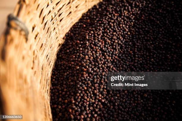 high angle close up of black peppercorns in a basket. - black pepper stock pictures, royalty-free photos & images