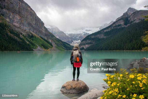 young woman looking away at the turquoise lake lousie, banff national park, canada - louisemeer stockfoto's en -beelden