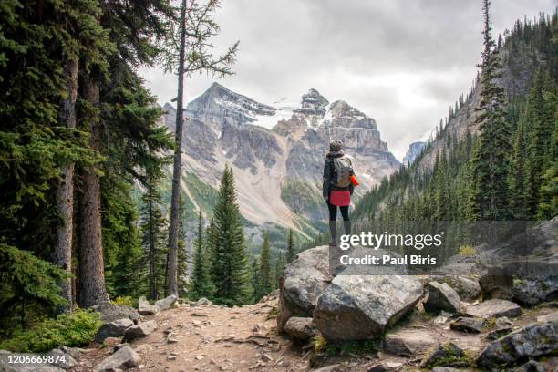 woman hiker on plain of six glaciers trail, banff national park, canada - canadian rockies 個照片及圖片檔