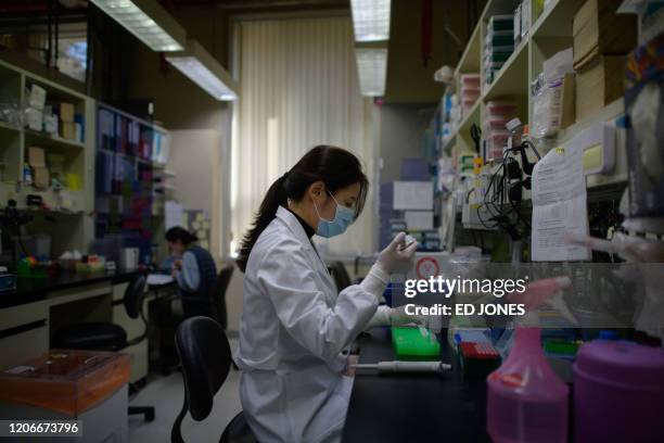 This photo taken on March 11, 2020 shows a lab technician working on a neutralising antibody test on the Middle Eastern Respiratory Syndrome...