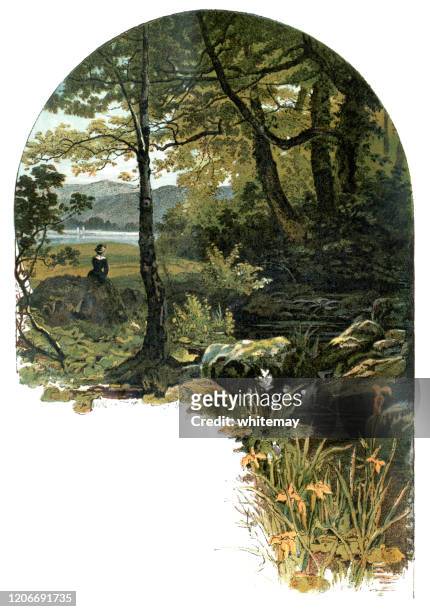 young victorian woman sitting by a woodland stream - 19th century england stock illustrations