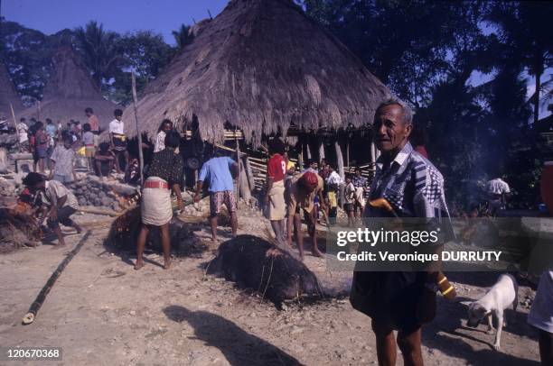 Traditional funerals in Sumba, Sunda islands, Indonesia - Sumba Island is the last animist bastion of Indonesian archipelago. The half Sumbanese are...