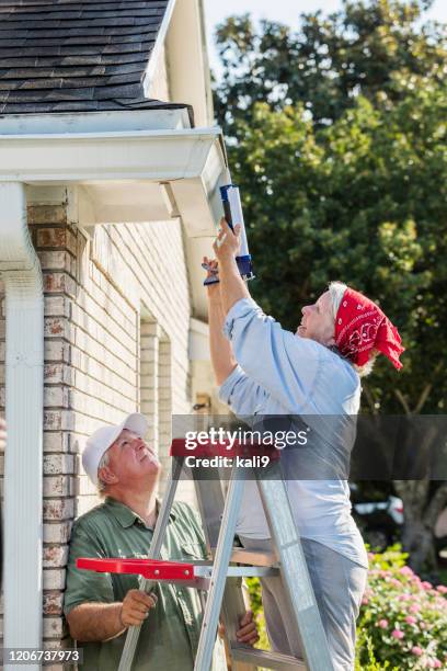Mold Testing in Florida: What Every Homeowner Needs to Know