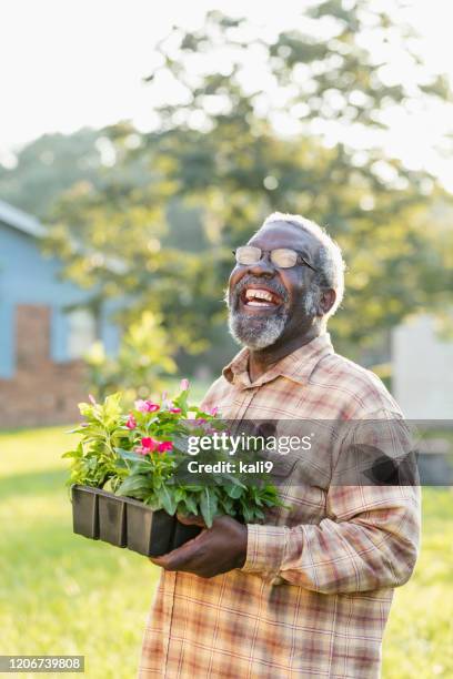 senior african-american man gardening - old man laughing and glasses stock pictures, royalty-free photos & images