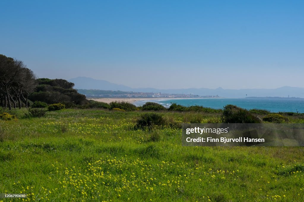 Beautiful view from Los Lanches North. Green field, flowers, Tarifa in background