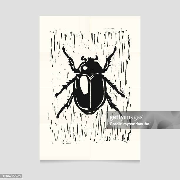 vektor linolschnitt käfer illustration auf gefaltetem papier - beetle stock-grafiken, -clipart, -cartoons und -symbole