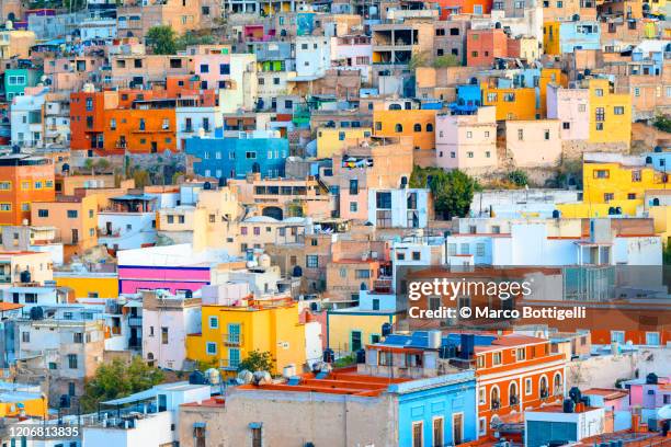 crowded colorful houses in guanajuato, mexico - guanajuato staat stockfoto's en -beelden