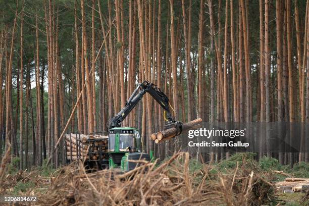 Deforestation Machine Photos and Premium High Res Pictures - Getty Images