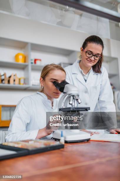 Student Using A Microscope 4,146 Classroom Microscopes Stock Photos, High-Res Pictures, and Images ...