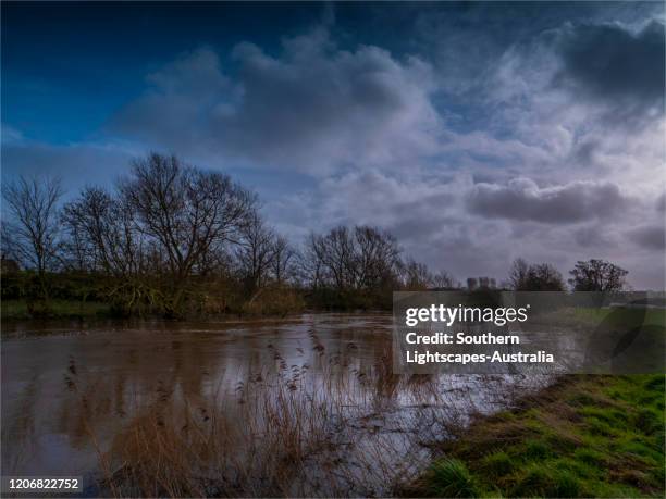 stour river in flood after heavy winter rains, sturminster marshall, dorset, england. - glenn marshal stock pictures, royalty-free photos & images