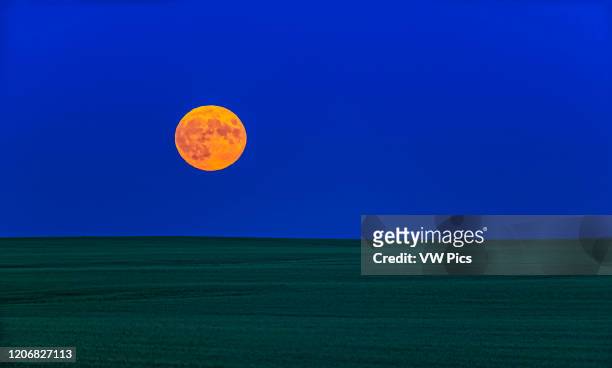 The rising of the almost exactly Full Moon on July 16 the 50th Anniversary of the launch of Apollo 11. The scene is looking over a green field of...