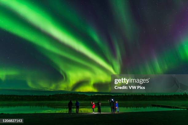 Group of aurora tourists take their aurora selfies at Prosperous Lake, near Yellowknife, NWT, a popular spot on the Ingraham Trail for aurora...