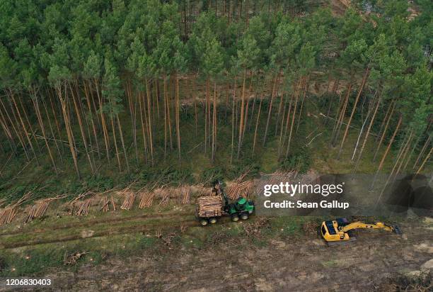 Deforestation Machine Photos and Premium High Res Pictures - Getty Images