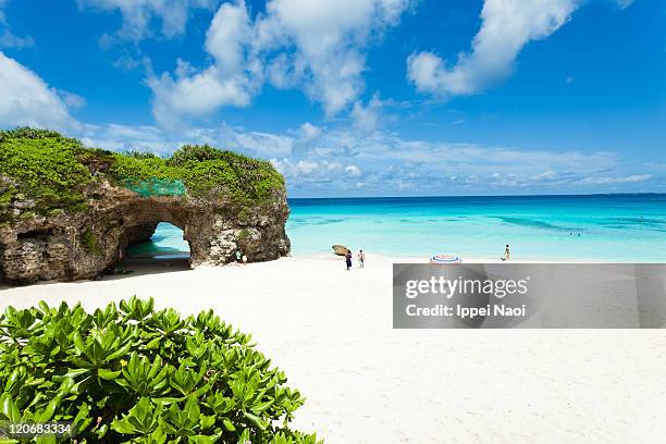 tropical island beach paradise, okinawa, japan - okinawa prefecture stock pictures, royalty-free photos & images