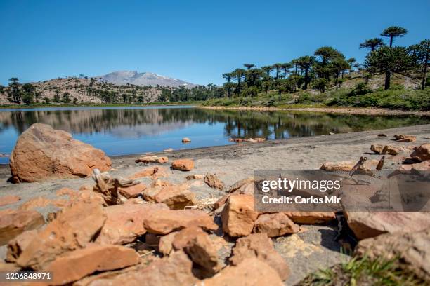 paisaje volcánico de la patagonia - paisaje volcánico bildbanksfoton och bilder