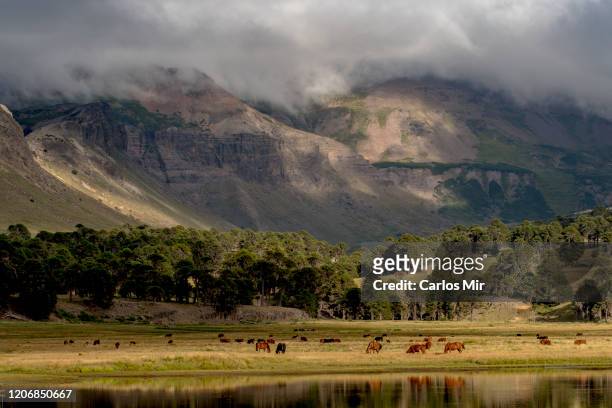 paisaje volcánico de la patagonia - paisaje volcánico stock-fotos und bilder