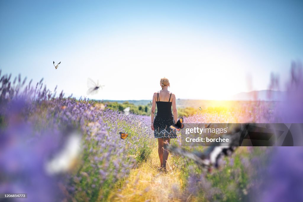 Walking In Lavender Field