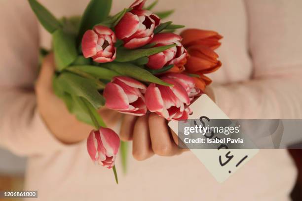 hands holding tulips bouquet with sorry message - apologize stockfoto's en -beelden