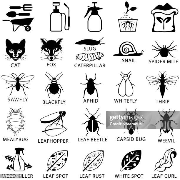 gartenschädlinge und pflanzenkrankheits-ikonen - parasit stock-grafiken, -clipart, -cartoons und -symbole
