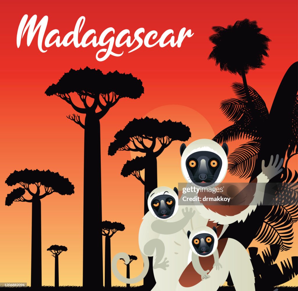 Madagascar and Coquerel's Sifaka,