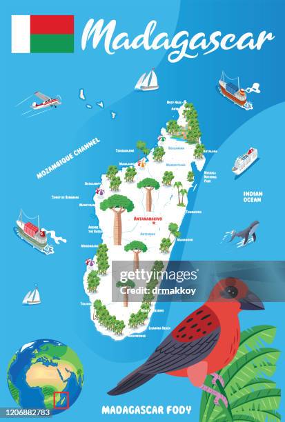 red madagascar fody, red fody - madagascar forest stock illustrations