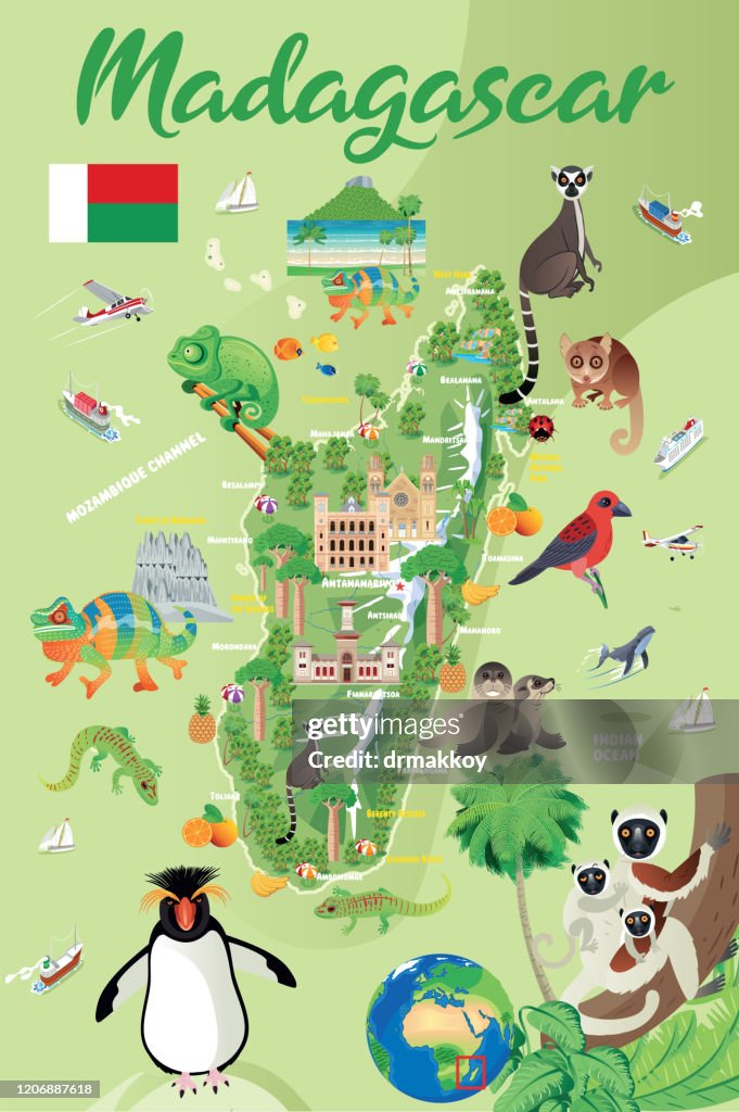 CARTOON MAP OF MADAGASCAR, Madagascar Fody, Subantarctic fur seal, fur seal, Rockhopper Penguin, Ring tailed lemur,Antananarivo, Toamasina, Antsirabe, Fianarantsoa, Mahajanga, Toliara, Antsiranana, Antanifotsy, Ambovombe,
