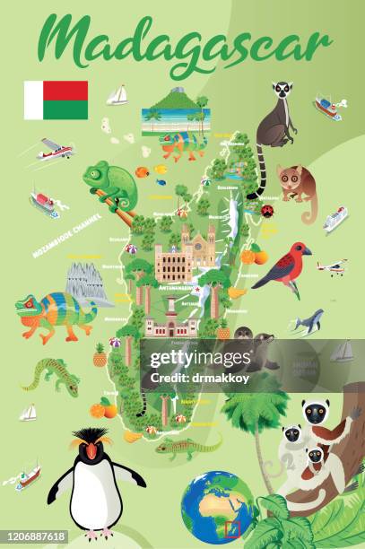 cartoon map of madagascar, madagascar fody, subantarctic fur seal, fur seal, rockhopper penguin, ring tailed lemur,antananarivo, toamasina, antsirabe, fianarantsoa, mahajanga, toliara, antsiranana, antanifotsy, ambovombe, - black and white ruffed lemur stock illustrations