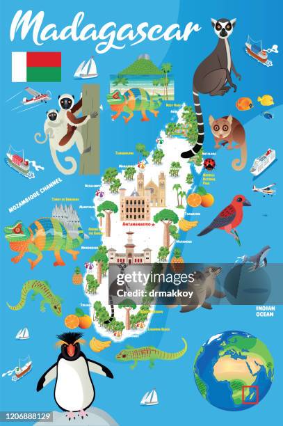 stockillustraties, clipart, cartoons en iconen met cartoon kaart van madagaskar, madagascar fody, subantarctic fur seal, bontzeehond, rockhopper penguin, ring tailed lemur,antananarivo, toamasina, antsirabe, fianarantsoa, mahajanga, toliara, antsiranana, antanifotsy, ambovombe, - antananarivo