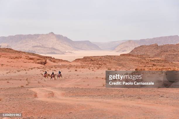tourists on dromedary camel in wadi rum desert, jordan - dromedar stock-fotos und bilder
