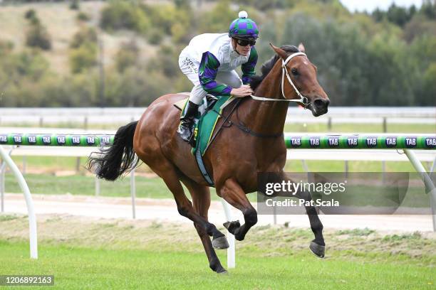 Mamelon ridden by Jarrod Fry wins the bet365 Maiden Plate at Kyneton Racecourse on March 13, 2020 in Kyneton, Australia.